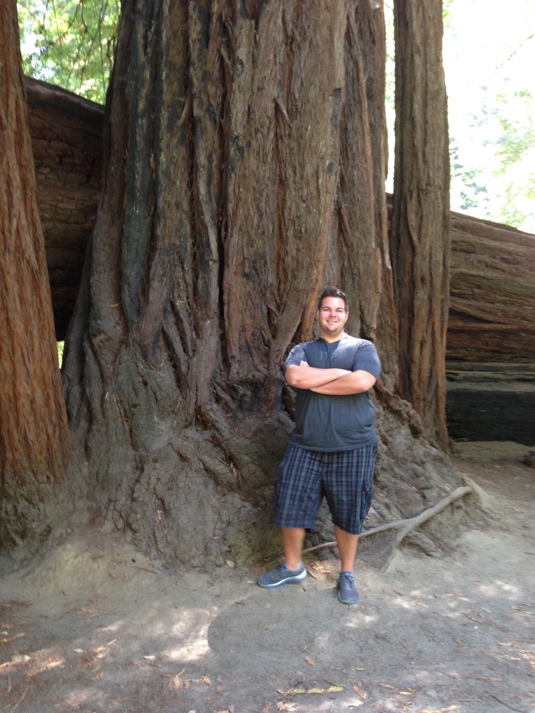 These are some huge trees!