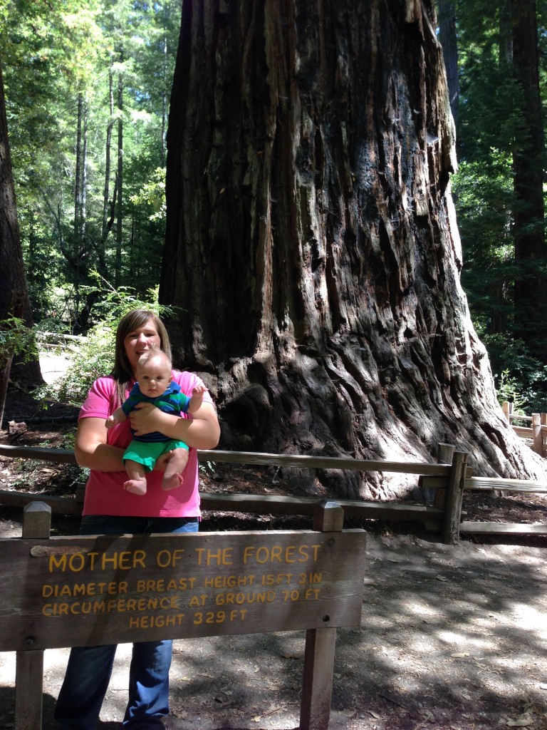 This one's my favorite.  Mother of the forest on the left, oh and a huge tree behind her.  ;)
